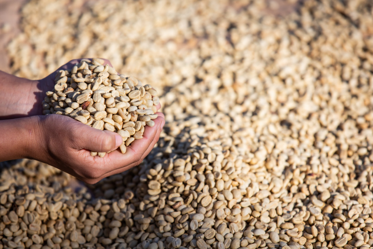 Coffee Bean Processing